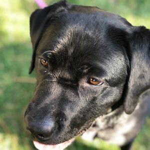 Meet your Posher, Greg